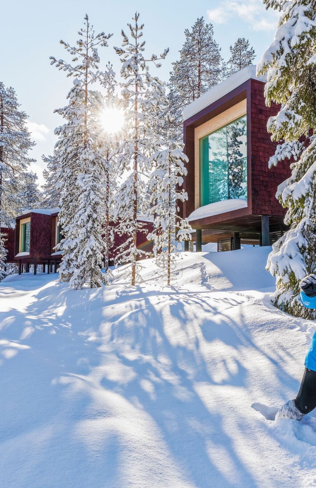 Arctic TreeHouse & Northern Lights Break