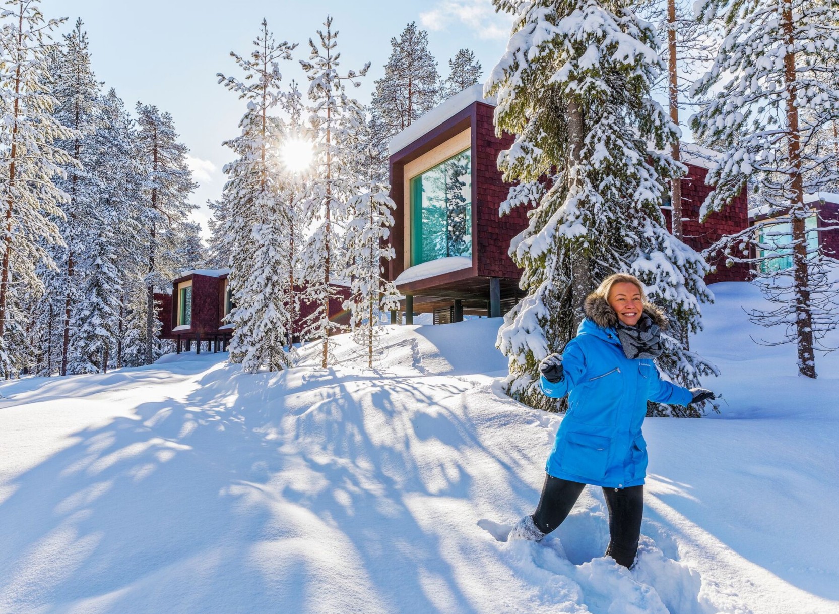 Arctic TreeHouse & Northern Lights Break