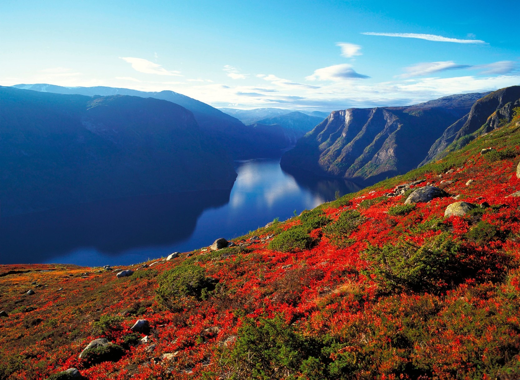 Sognefjord Adventure