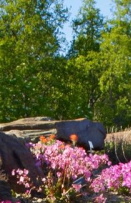 About our independent / self-guided tours