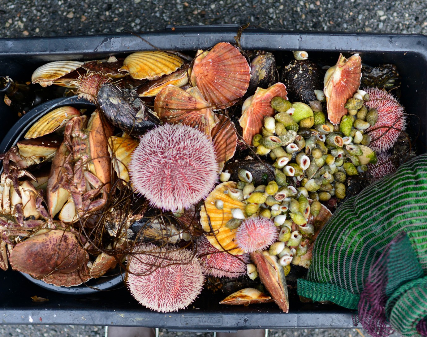 Hotel Haven, superior room