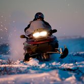 Morning Snowmobile Safari in Alta