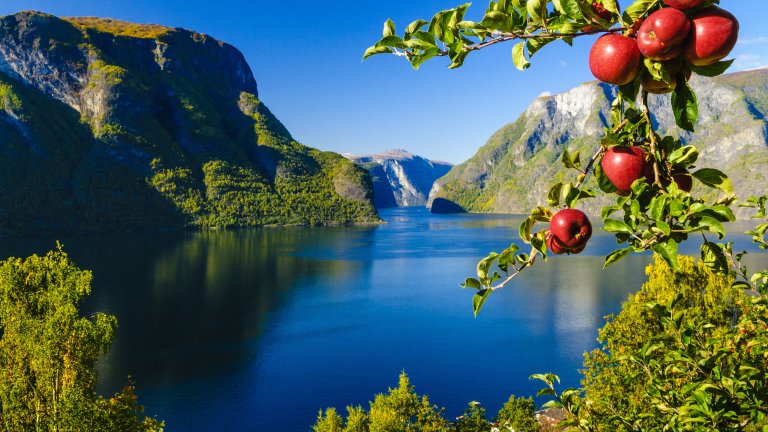 Photo Robin Strand - Fjord Norway - Aurlandsfjord