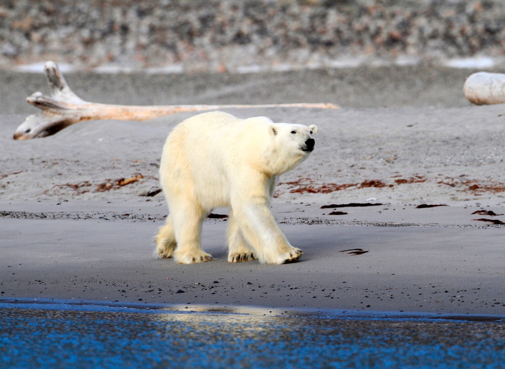 Svalbard Expedition Cruise (Wednesday dep.)