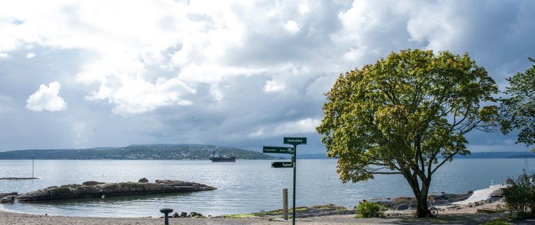 Norway - Huk beach Bygdøy - Thomas Johannessen, Visit Oslo.jpg