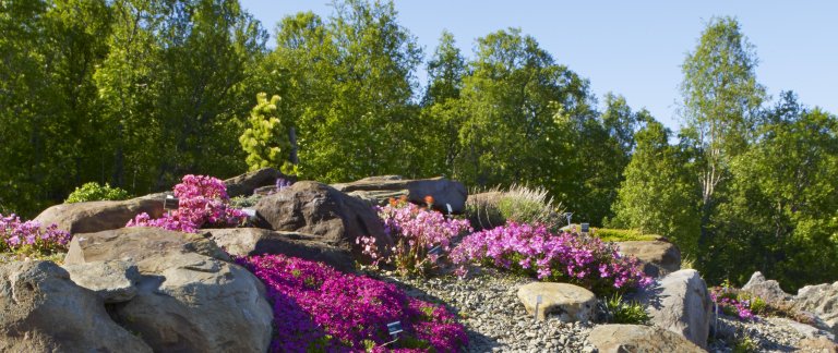 001403_Baard-Loeken_www.nordnorge.com - cropped.jpg